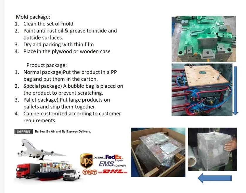 Plastic Injection Mold Design and Molding Service with SGS Certification